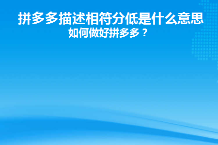 拼多多描述相符分低是什么意思(拼多多产出低是什么意思)