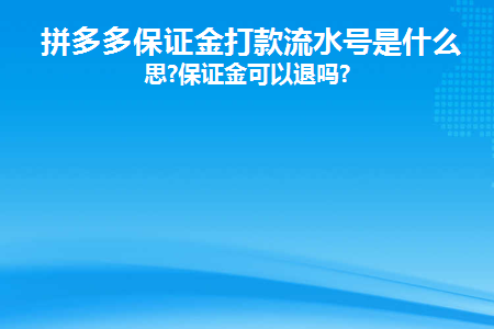 拼多多保证金打款流水号是什么意思(拼多多保证金支付流水号是什么意思？)