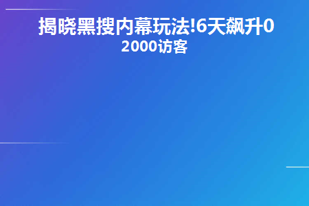 揭晓黑搜内幕玩法!6天飙升0-2000访客(黑搜技术是什么意思)