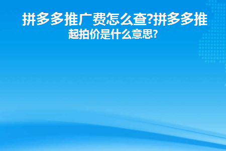 拼多多推广费怎么查(拼多多推广费怎么查订单)