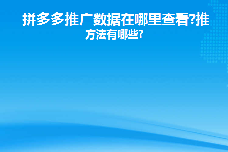 拼多多推广数据在哪里查看(拼多多推广看哪些数据)