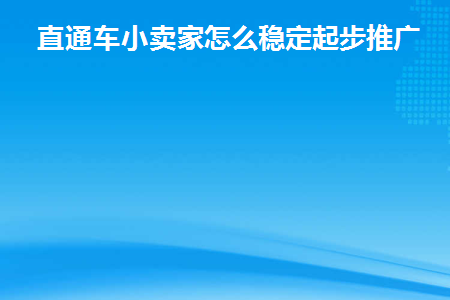 直通车小卖家怎么稳定起步推广(直通车教程)