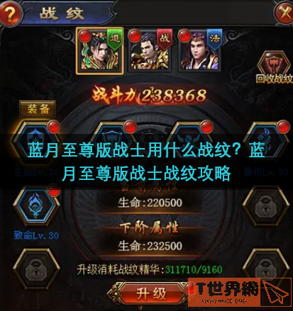 蓝月至尊版战士用什么战纹(蓝月至尊版战士用什么战纹装备)