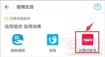 支付宝天猫开新车怎么申请