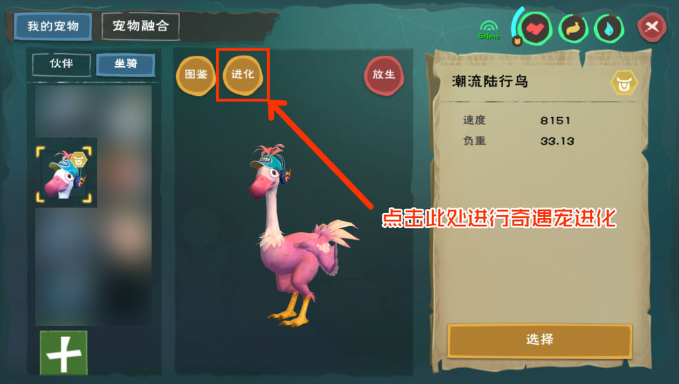 创造与魔法怎么给宠物升级快