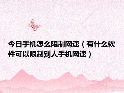 什么软件可以提高网速(哪个软件能提高网速)