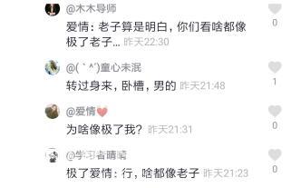 像极了爱情上一句是什么