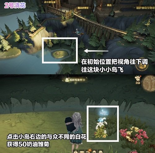 哈利波特魔法觉醒展示鲜花