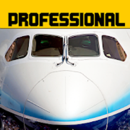 飞行模拟787道具免费版