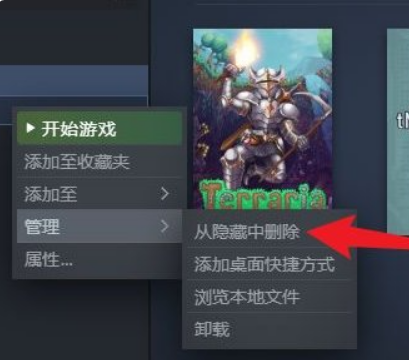 steam游戏库里的游戏不见了