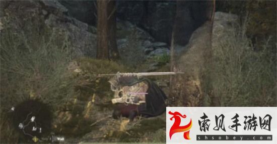 龙之信条2阵容配队推荐(ps4龙之信条2)