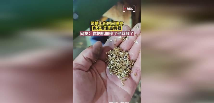 "科技界的诡异新宠(科技的恐怖)