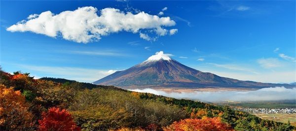 将草莓放在小洞里榨汁(草莓放在小洞里榨汁可以吗)