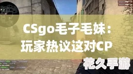 CSgo毛子毛妹(csgo毛子搞笑视频)